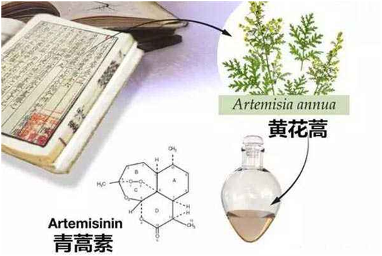 半岛平台客服,半岛（中国）：向中医药看齐，与世界共享中医药文化(图1)